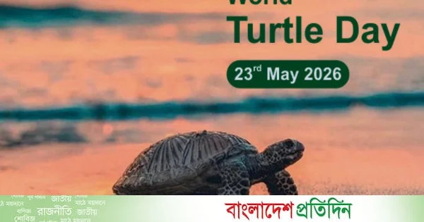 বিলুপ্তির ঝুঁকিতে কচ্ছপ, রক্ষায় এগিয়ে আসার আহ্বান | | বাংলাদেশ প্রতিদিন