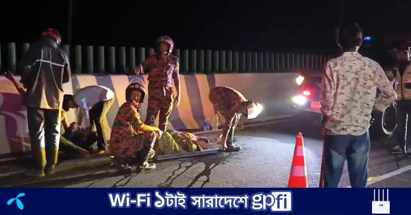 ঢাকা-মাওয়া এক্সপ্রেসওয়েতে পৃথক সড়ক দুর্ঘটনায় আহত ১০ | | বাংলাদেশ প্রতিদিন