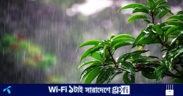 ঈদের দিন সকালে ঢাকাসহ পাঁচ বিভাগে বৃষ্টির আভাস | | বাংলাদেশ প্রতিদিন