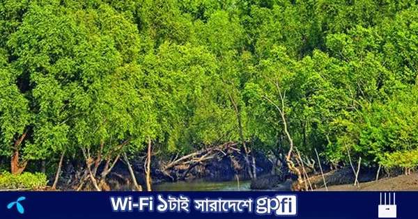 জীববৈচিত্র্য রক্ষায় ১ জুন থেকে ৩১ আগস্ট সুন্দরবনে প্রবেশে নিষেধাজ্ঞা | | বাংলাদেশ প্রতিদিন