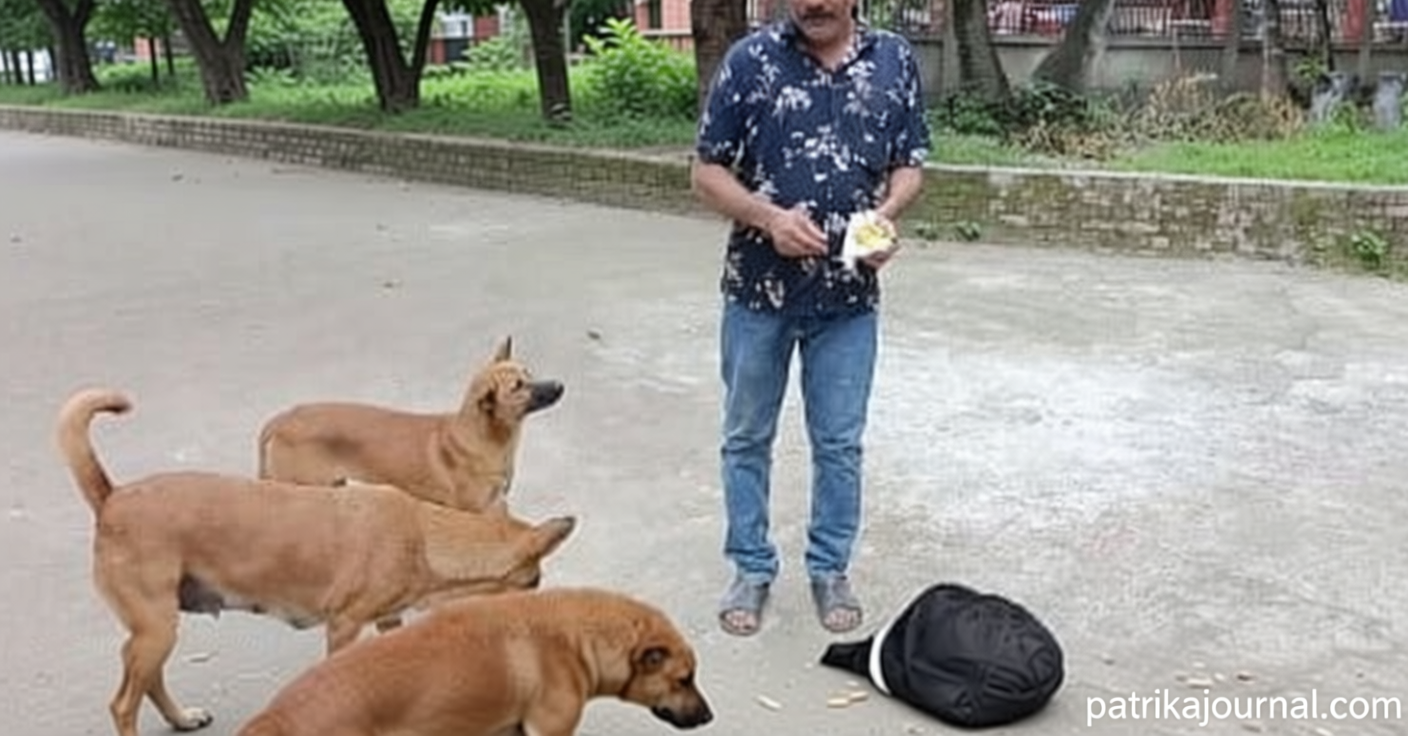 ৩২ বছর ধরে বেওয়ারিশ কুকুর-বিড়ালের বন্ধু ‘স্বল্প আয়ের’ আনোয়ার | | বাংলাদেশ প্রতিদিন