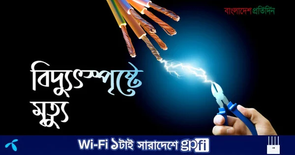 ধানক্ষেতে সেচ দিতে গিয়ে বিদ্যুৎস্পৃষ্টে কৃষকের মৃত্যু | | বাংলাদেশ প্রতিদিন