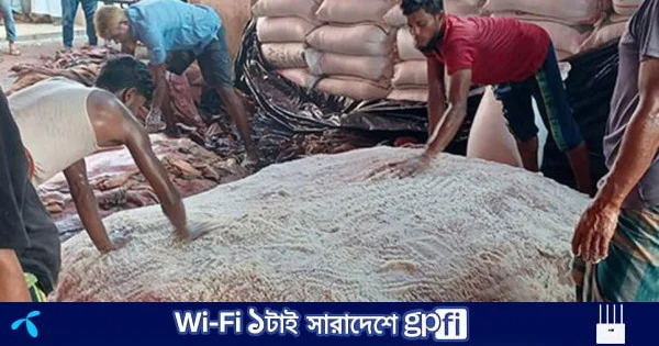৪০০ টাকার চামড়া ১৫০ টাকায় বিক্রি, হতাশ মৌসুমি ব্যবসায়ীরা | | বাংলাদেশ প্রতিদিন