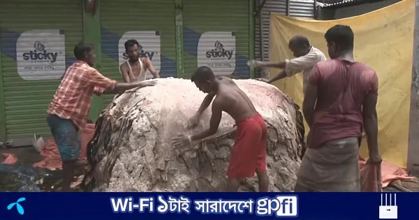 চামড়া সংরক্ষণে বিনামূল্যে লবণ সরবরাহ হয়েছে চাহিদার ১৬% | | বাংলাদেশ প্রতিদিন