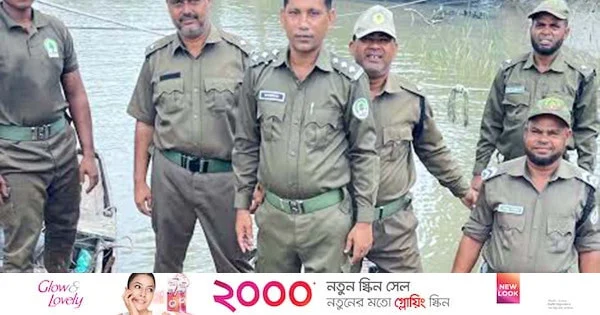 সুন্দরবনে আগুনের তাপে শুঁটকি তৈরি করছিল অবৈধ জেলেরা | | বাংলাদেশ প্রতিদিন