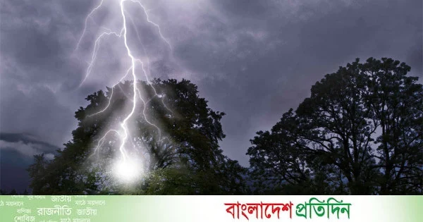 তালতলীতে বজ্রপাতে কিশোরের মৃত্যু | | বাংলাদেশ প্রতিদিন