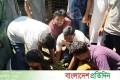 বাজেটকে স্বাগত জানিয়ে ঢাবি ছাত্রদলের বৃক্ষরোপণ কর্মসূচি | | বাংলাদেশ প্রতিদিন