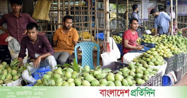 বাজারে এলো রংপুরের হাঁড়িভাঙা, ৩০০ কোটি টাকার ব্যবসার আশা | | বাংলাদেশ প্রতিদিন