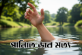 আড়াইহাজারে পুকুরে ডুবে সহোদর দুই শিশুর মৃত্যু | | বাংলাদেশ প্রতিদিন