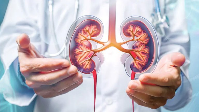 kidney